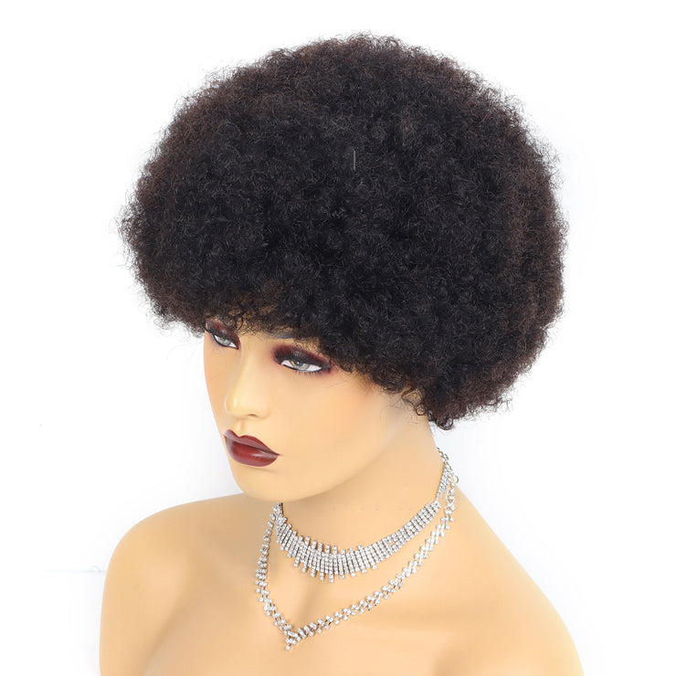 Short Wigs Human Hair Afro Kinky Curly